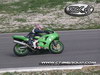 FOTO SCATTATE NELLA STAGIONE 2004