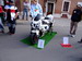 Clicca per ingrandire la foto