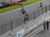 Clicca per ingrandire la foto