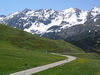 Clicca per ingrandire la foto