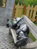 Clicca per ingrandire la foto