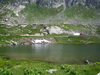 Clicca per ingrandire la foto