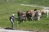 Clicca per ingrandire la foto