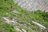 Clicca per ingrandire la foto