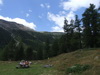 Clicca per ingrandire la foto