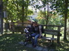 Clicca per ingrandire la foto