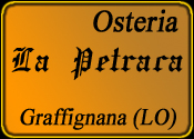 gatti autoricambi